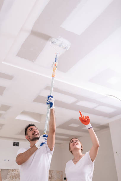 Best HVAC Mold Inspection and Cleaning  in Harvey, MI